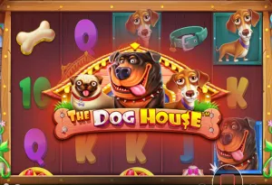 The Dog House BetBoom
